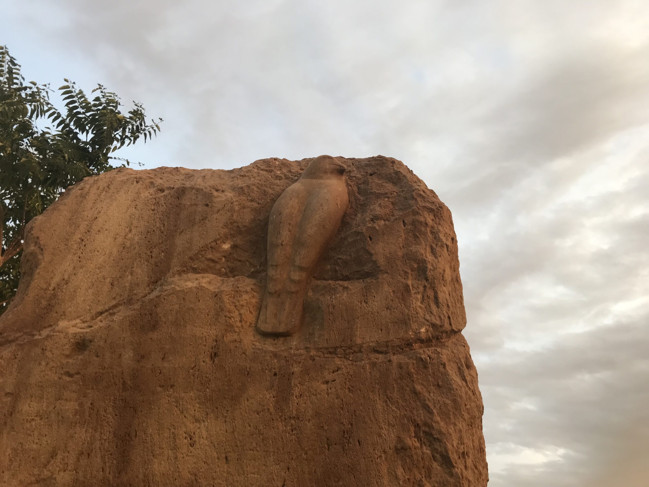 Carved desert bird by David Falossi