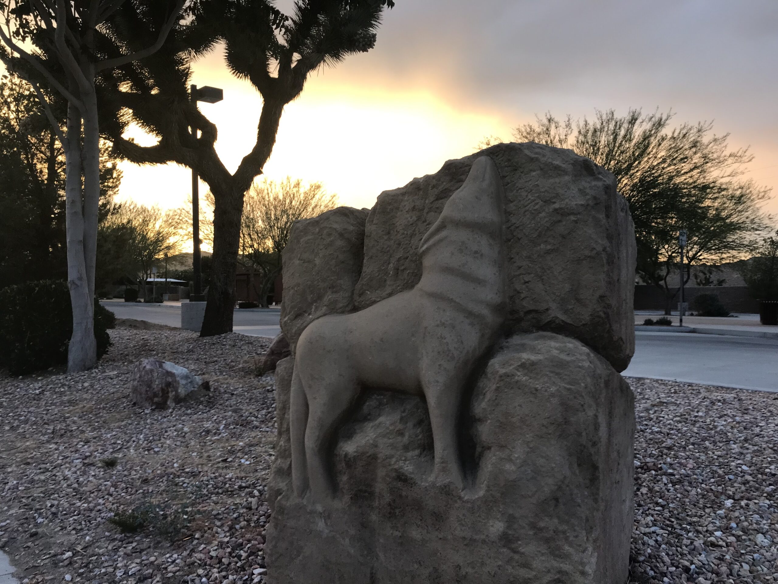 Carved coyote by David Falossi