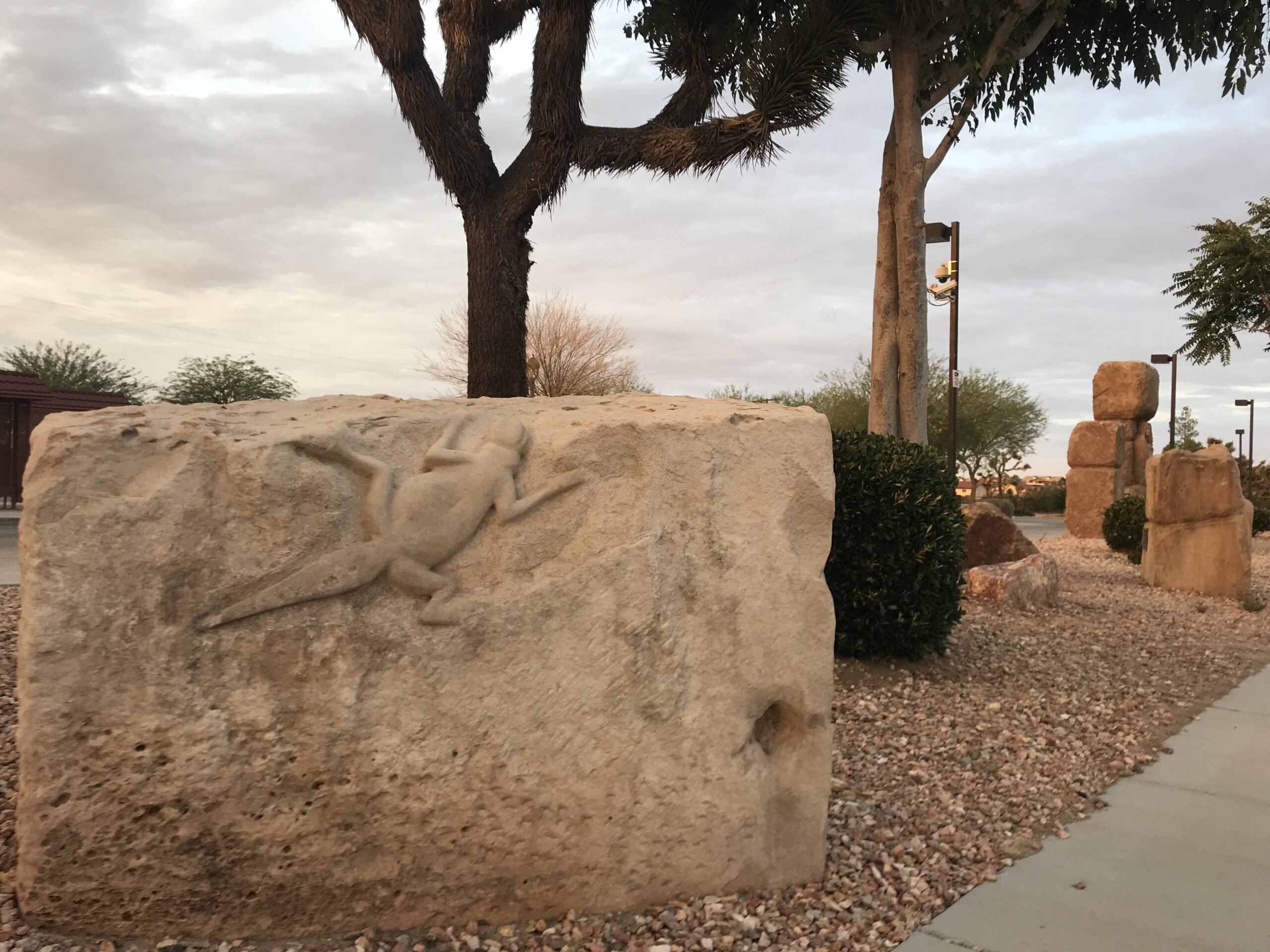 Carved lizard, Morongo Basin Transit Station by David Falossi