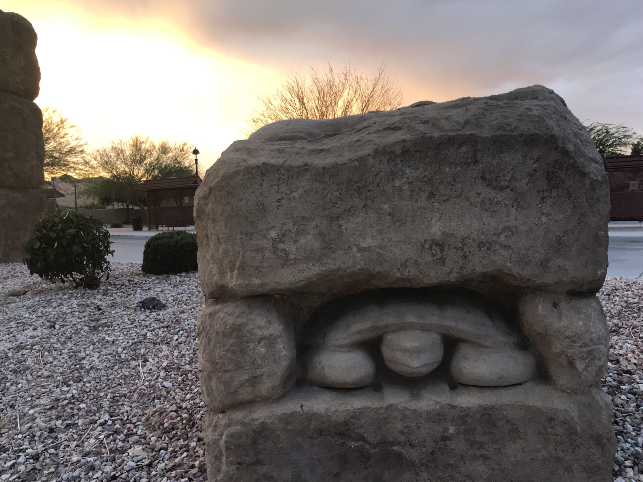 Carved desert tortoise by David Falossi